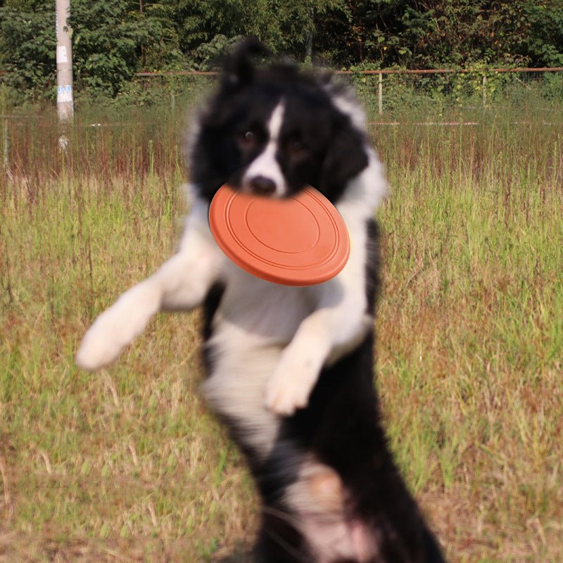 Disque frisbee flottant orange pour chien tenu par un chien.