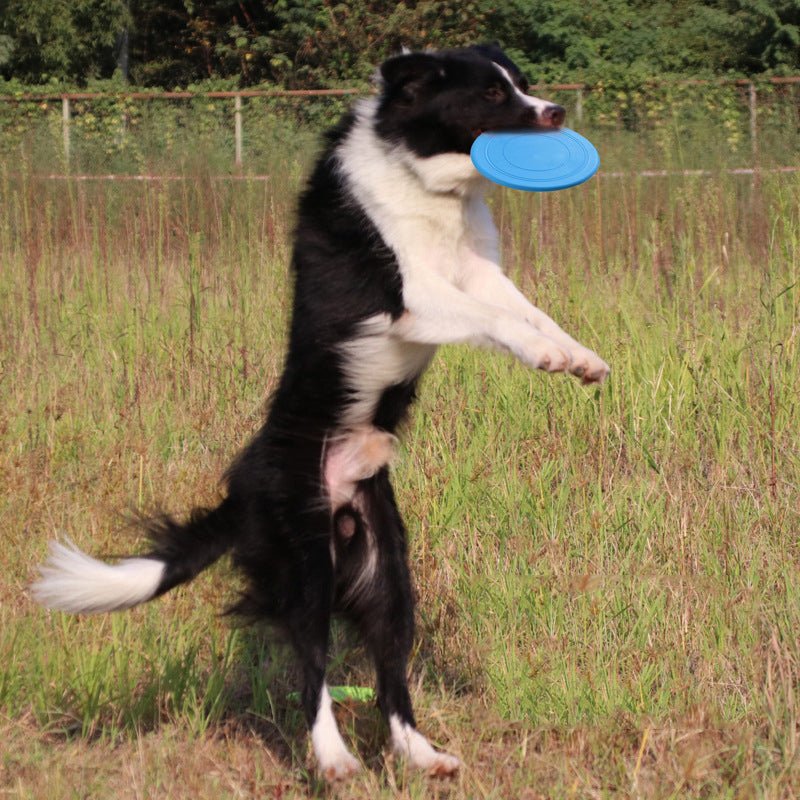 Disque frisbee flottant bleu pour chien tenu dans la gueule, prêt à lancer.
