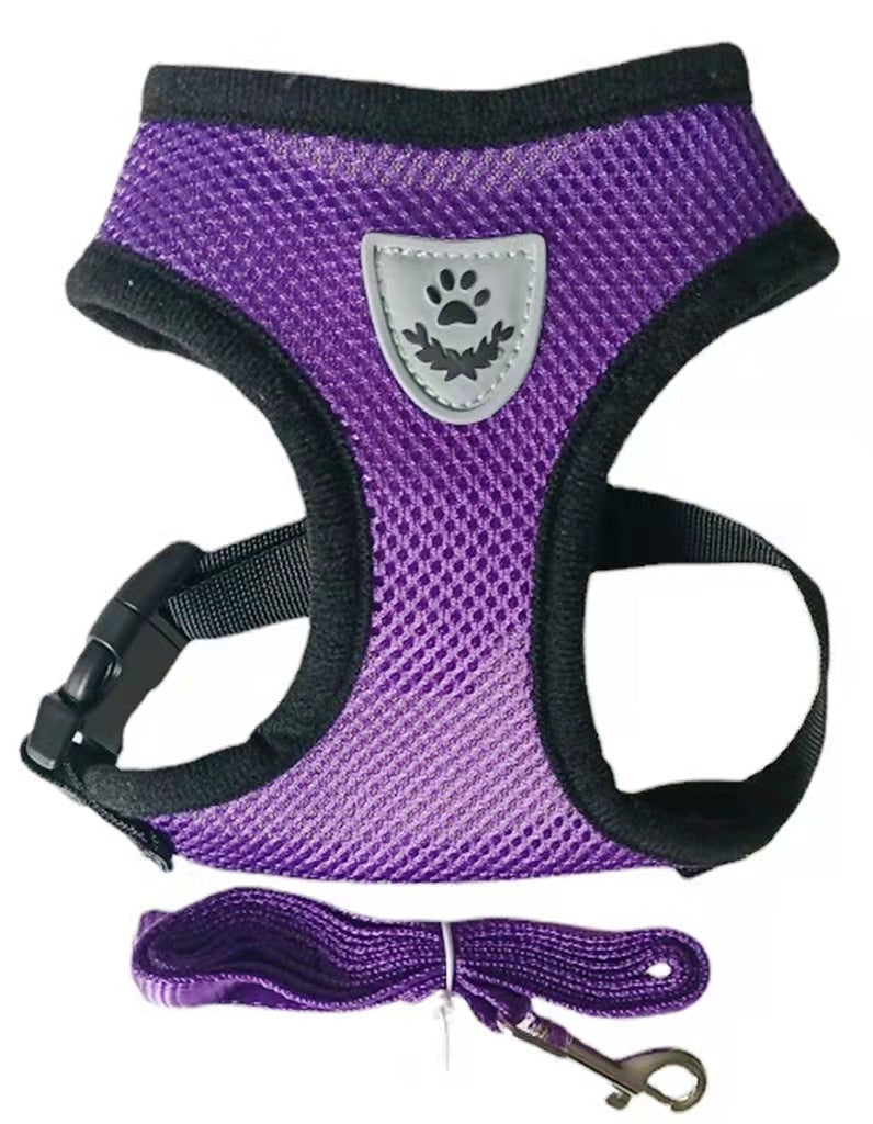Harnais pour chien violet avec écusson patte, bords noirs et laisse intégrée violette