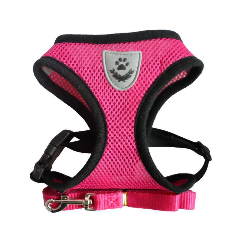 Harnais pour chien rose fuchsia avec écusson patte, bords noirs et laisse intégrée