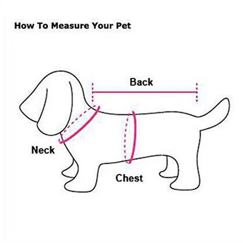 Schéma de mesure pour pull pour chien : dos, poitrine et tour de cou