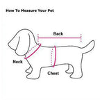 Schéma de mesure pour pull pour chien : dos, poitrine et tour de cou