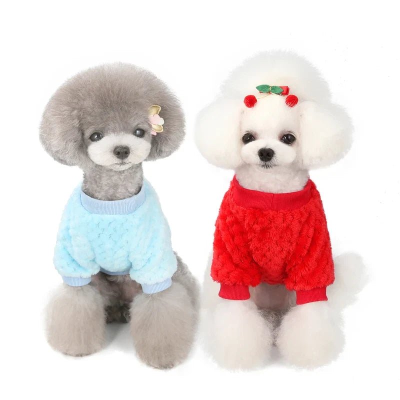Pull en peluche rouge pour chien, col en bord-côte et motif tête de renard
